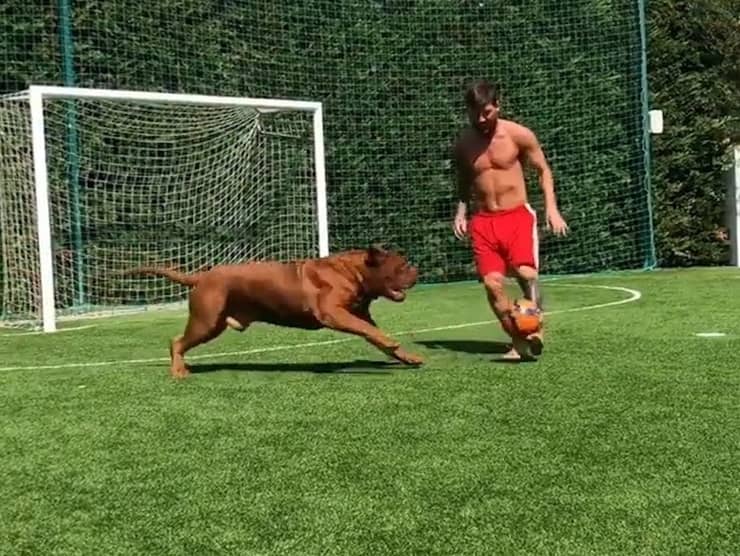 Messi e Hulk