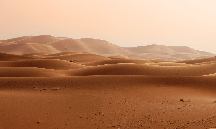 Deserto