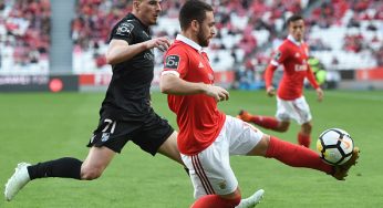 Benfica-Vitoria Guimaraes : pronostico, formazioni, streaming
