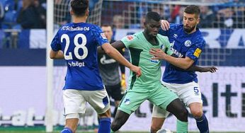 Schalke 04-Hoffenheim: pronostici, probabili formazioni, diretta tv