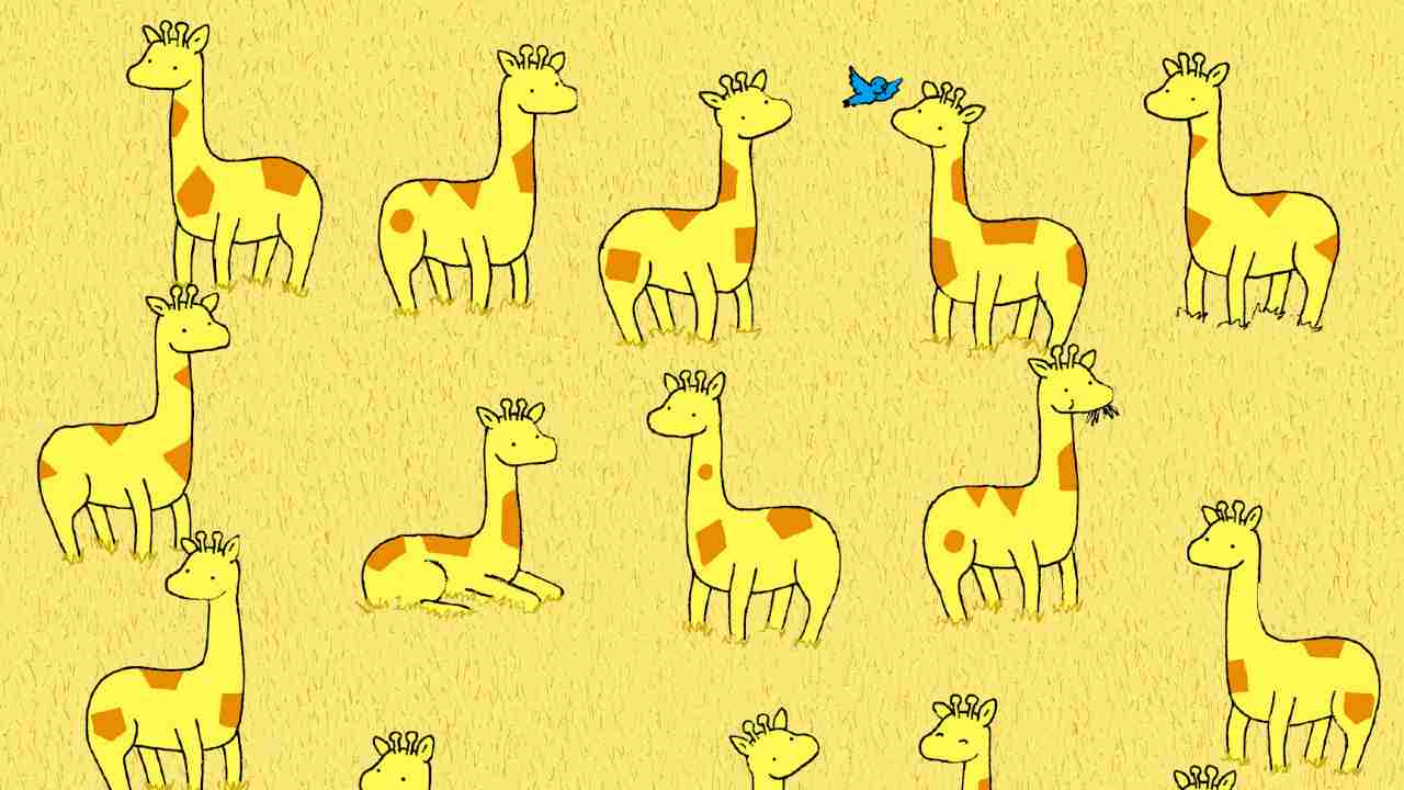 Rompicapo