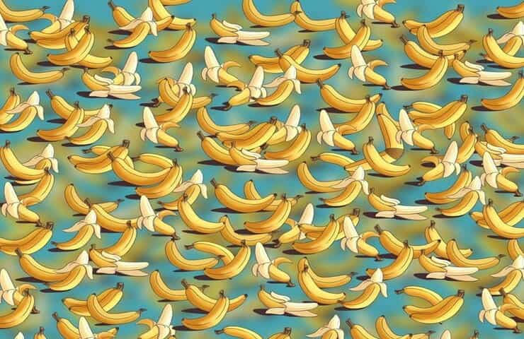 test rompicapo banane