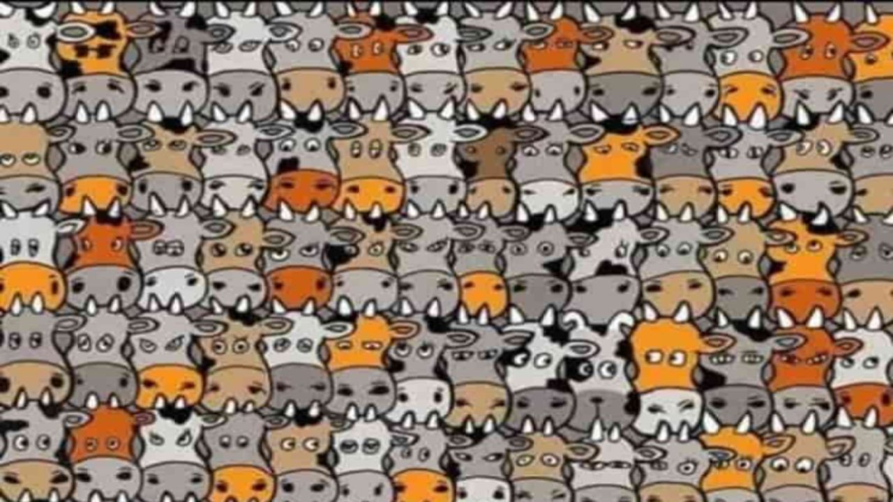 rompicapo