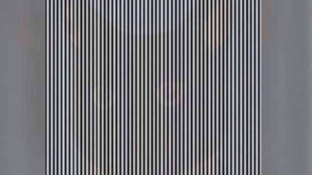 test visivo