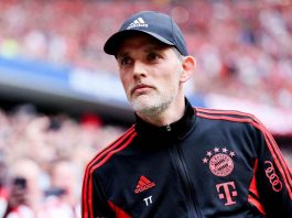I pronostici per la trentaquattresima giornata di Bundesliga 2022-2023