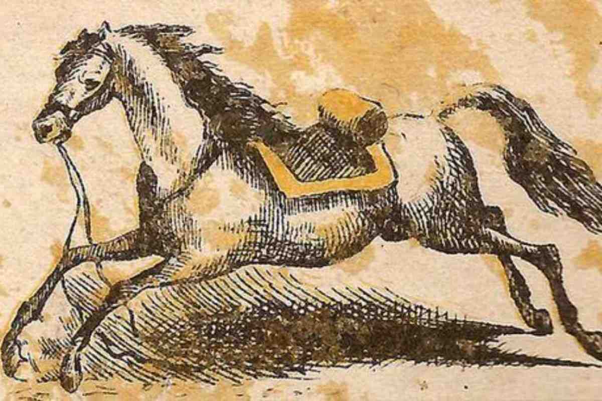 test visivo cavallo